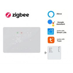 Termostat Inteligent TOR101...